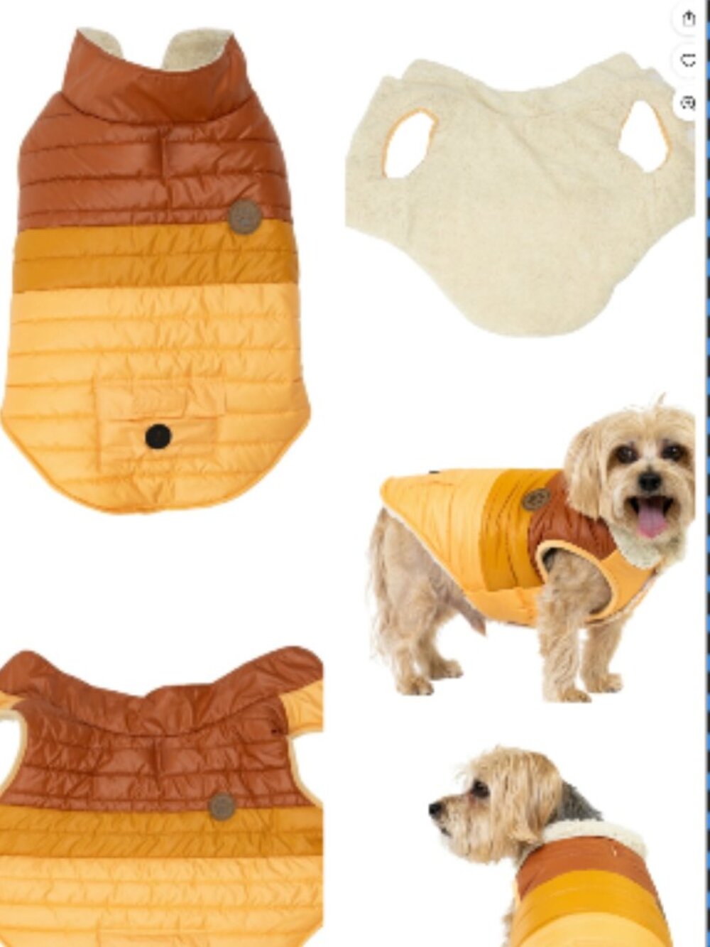 VIBRANT LIFE PET JACKET Size: Small